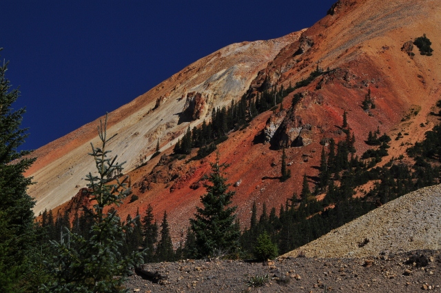 jeep tour to Brown Mountain
